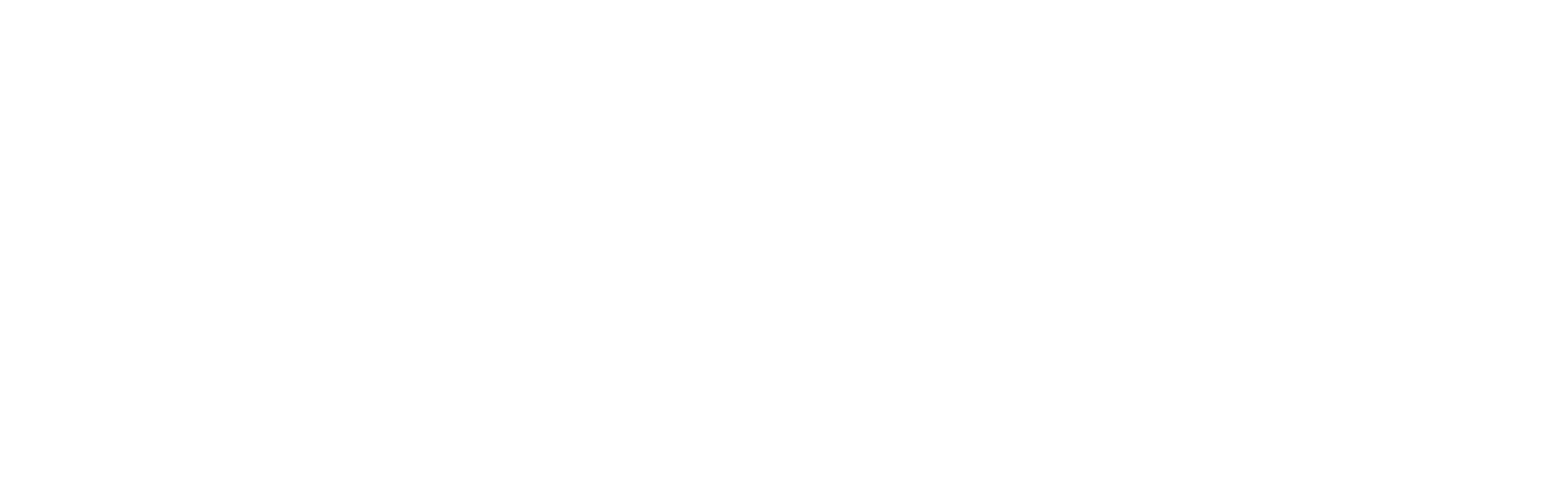 logo_white_portal